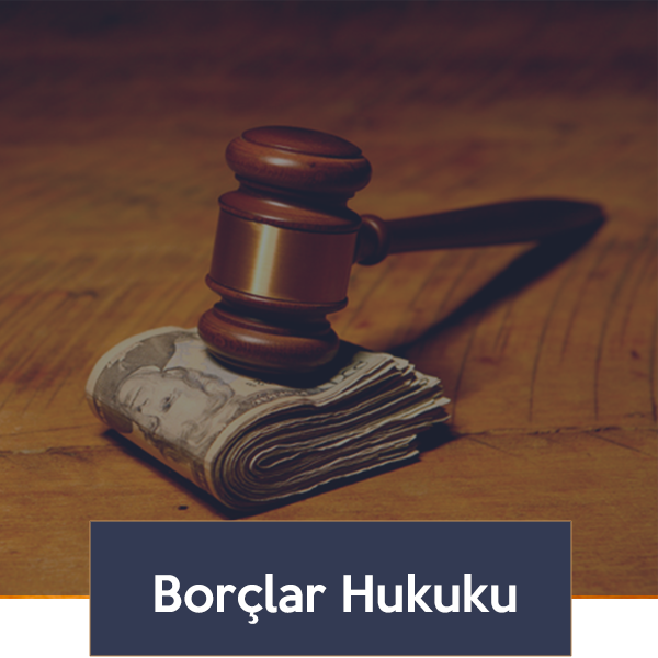 İnsan Hakları